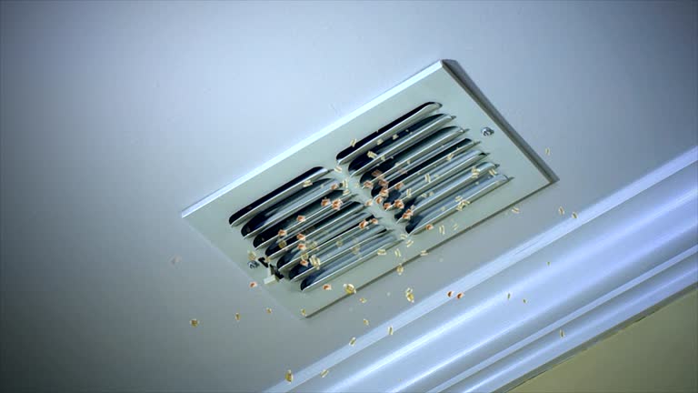 Best HVAC Air Duct Cleaning  in Iowa Colony, TX