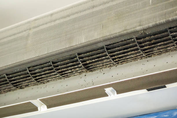 Home Air Vent Cleaning in Iowa Colony, TX